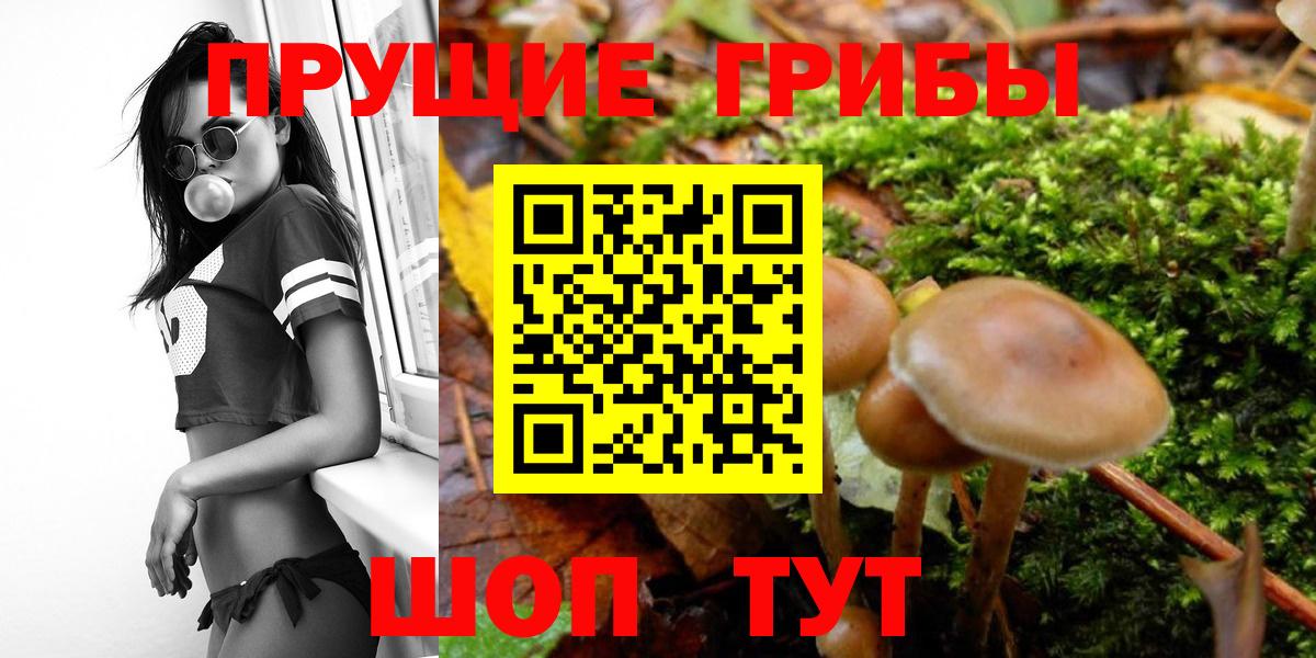 Галлюциногенные грибы Cubensis  Галлюциногенные грибы мухоморы  Вход с VPN  Калининград 